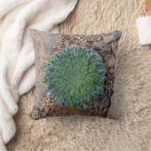 多肉種の砂漠植物 クッション (ブランケット)