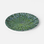 多肉種の砂漠植物 ペーパープレート (アングル)