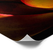 多肉種の砂漠植物 ポスター (角)