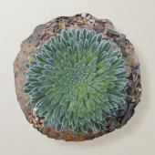 多肉種の砂漠植物 ラウンドクッション (裏面)