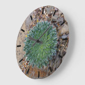 多肉種の砂漠植物 ラージ壁時計 (傾斜)