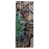 多肉種の砂漠植物 ワインギフトバッグ (正面)