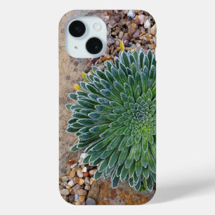 多肉種の砂漠植物 iPhone 15ケース