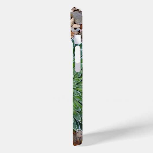 多肉種の砂漠植物 Case-Mate iPhoneケース (裏面 / 左)