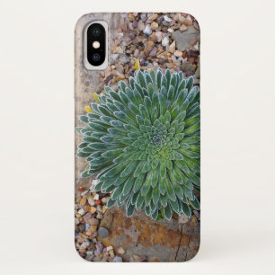 多肉種の砂漠植物 iPhone X ケース