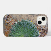 多肉種の砂漠植物 iPhoneケース (裏面横)