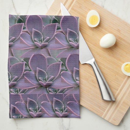 多肉紫色 キッチンタオル (四つ折り)