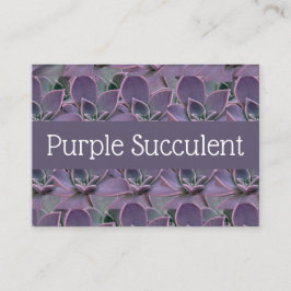 多肉紫色 名刺