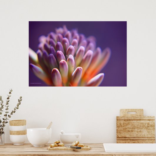 多肉芽プリント ポスター (キッチン)