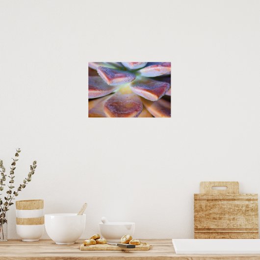 多肉葉 ポスター (キッチン)