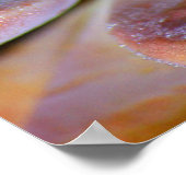 多肉葉 ポスター (角)