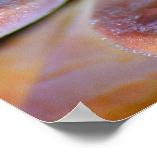 多肉葉 ポスター (角)