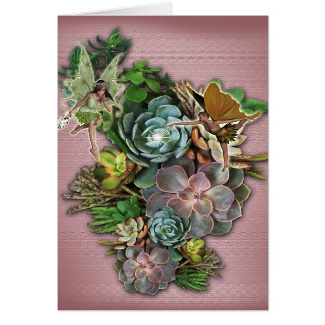 多肉表示 (正面)