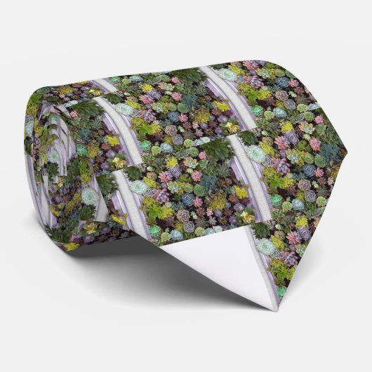 多肉表示 ネクタイ (ロール)