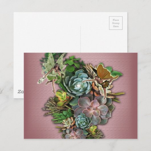 多肉表示 ポストカード (正面/裏面)