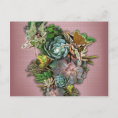 多肉表示 ポストカード (正面)