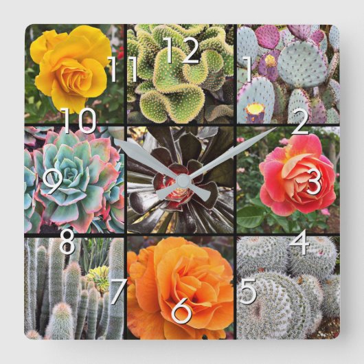 多肉質のサボテンバラ花写真コラージュ スクエア壁時計 (正面)