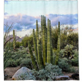 多肉質の夕日 シャワーカーテン (正面)