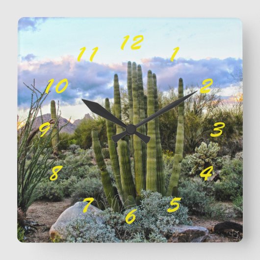 多肉質の夕日 スクエア壁時計 (正面)
