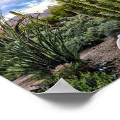 多肉質の夕日 ポスター (角)