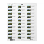 多肉質の夕日 ラベル (フルシート)