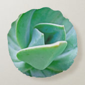 多肉質の渦 ラウンドクッション (裏面)