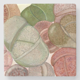 多肉質の生きた石（岩盤）の石器 ストーンコースター