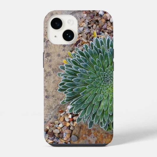 多肉質の砂漠の植物 iPhoneケース (裏面)