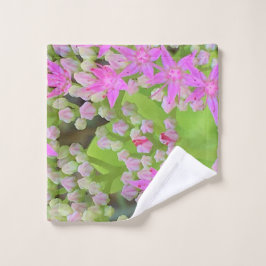 多肉質の緑のを持つホットピンクの多肉性葉セダム ウォッシュタオル