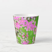 多肉質の緑のを持つホットピンクの多肉性葉セダム カフェラテマグ (正面)