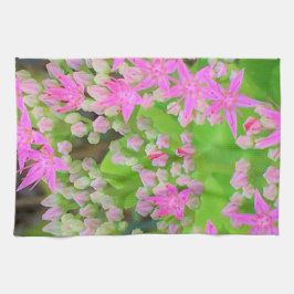 多肉質の緑のを持つホットピンクの多肉性葉セダム キッチンタオル