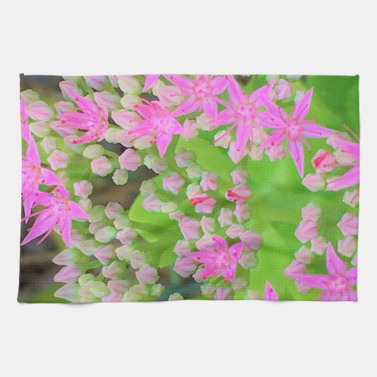 多肉質の緑のを持つホットピンクの多肉性葉セダム キッチンタオル (横)