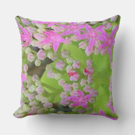 多肉質の緑のを持つホットピンクの多肉性葉セダム クッション