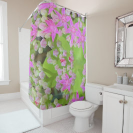 多肉質の緑のを持つホットピンクの多肉性葉セダム シャワーカーテン