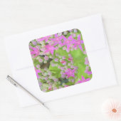 多肉質の緑のを持つホットピンクの多肉性葉セダム スクエアシール (封筒)