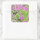 多肉質の緑のを持つホットピンクの多肉性葉セダム スクエアシール (バッグ)