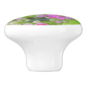 多肉質の緑のを持つホットピンクの多肉性葉セダム セラミックノブ (側面)