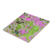 多肉質の緑のを持つホットピンクの多肉性葉セダム タイル (側面)