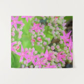 多肉質の緑のを持つホットピンクの多肉性葉セダム タペストリー (正面(横))