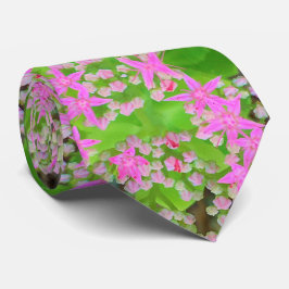 多肉質の緑のを持つホットピンクの多肉性葉セダム ネクタイ