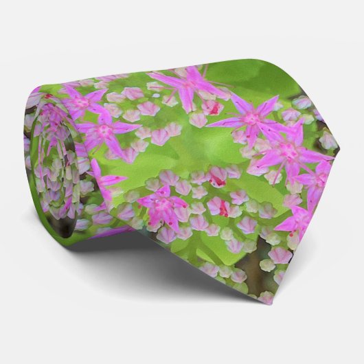 多肉質の緑のを持つホットピンクの多肉性葉セダム ネクタイ (ロール)