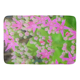 多肉質の緑のを持つホットピンクの多肉性葉セダム バスマット