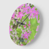 多肉質の緑のを持つホットピンクの多肉性葉セダム ラージ壁時計 (傾斜)