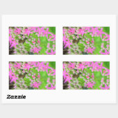 多肉質の緑のを持つホットピンクの多肉性葉セダム 長方形シール (シート)