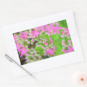 多肉質の緑のを持つホットピンクの多肉性葉セダム 長方形シール (封筒)