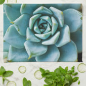 多肉質の キッチンタオル (折り畳み)