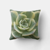 多肉質の クッション (裏面)