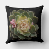 多肉質の クッション (裏面)