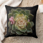 多肉質の クッション (ブランケット)