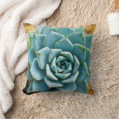 多肉質の クッション (ブランケット)